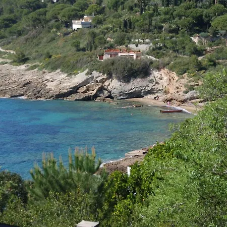 Madonna Delle Grazie